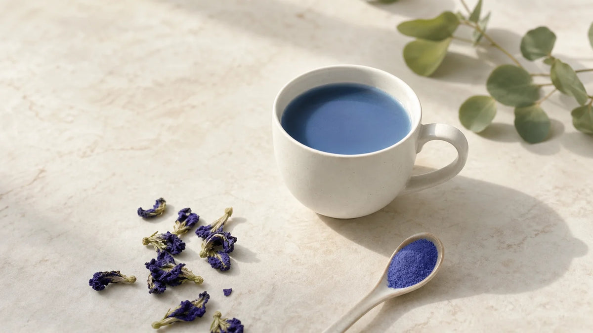 Tasse de boisson bleue préparée avec des fleurs de pois papillon.