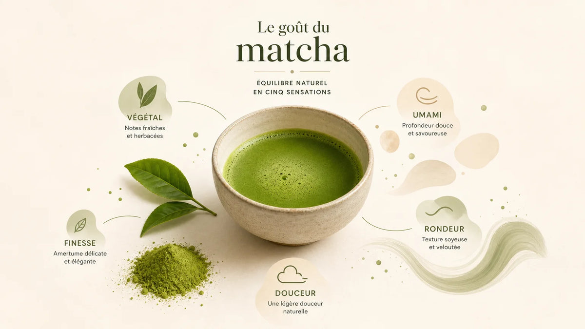 Illustration des saveurs et de la texture du matcha